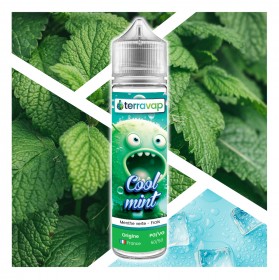 E-liquide cool mint 50ml