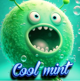 E-liquide cool mint 50ml